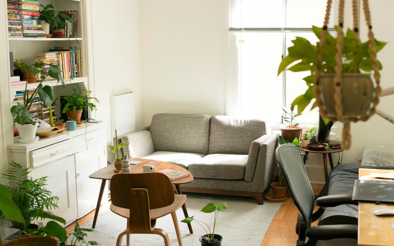 Bright room layered with hanging and potted plants