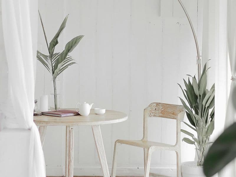 White panelled wall with soft daylight and green stems